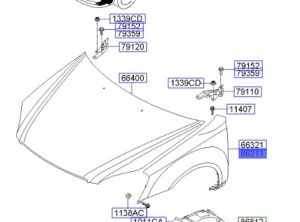 رفرف أمامي يسار