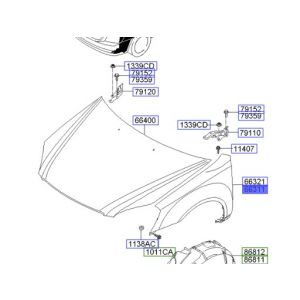 رفرف أمامي يسار