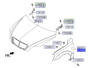 رفرف أمامي يسار