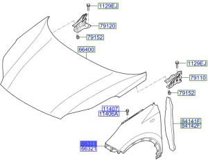 رفرف أمامي يسار