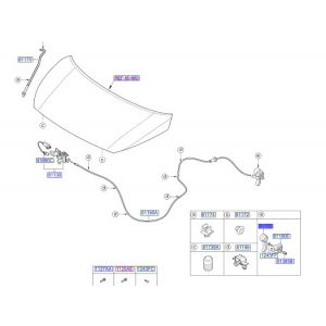 يد فتح الكبوت