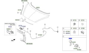 يد فتح الكبوت