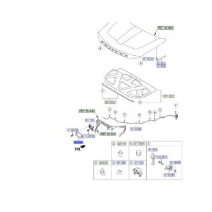 غطاء قفل الكبوت