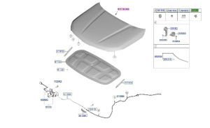 كلبس قفل الكبوت