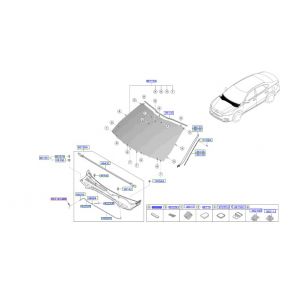 جلدة زجاج أمامي
