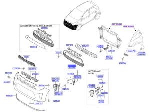 جلدة هواية أمامية يسار