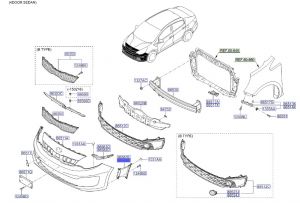 جلدة هواية أمامية يمين