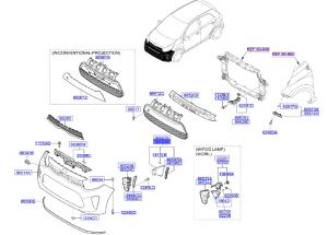 جلدة هواية أمامية يمين