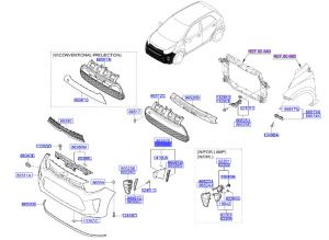جلدة هواية أمامية يمين