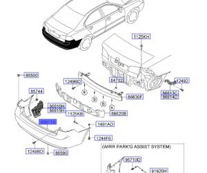 جلدة صدام خلفي