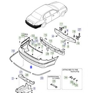 جلدة صدام خلفي