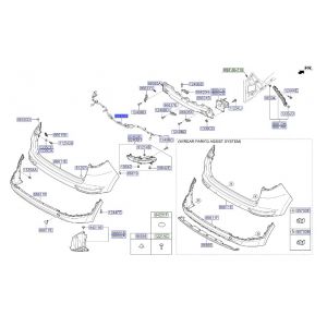 ضفيرة صدام خلفي