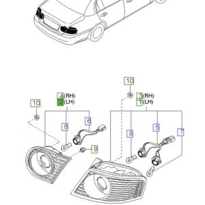 اسطب خلفي يسار