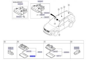 لمبة شنطة داخلية