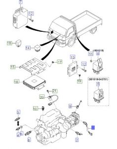 سويتش انوار الريوس