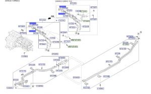 خرطوم الماء الداخل