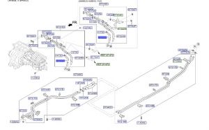 خرطوم الماء الداخل