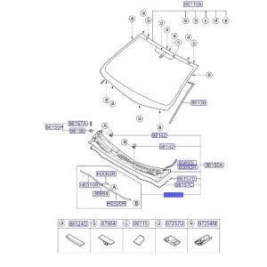 خرطوم ماء المساحات