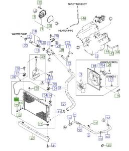 خرطوم ماء القربة